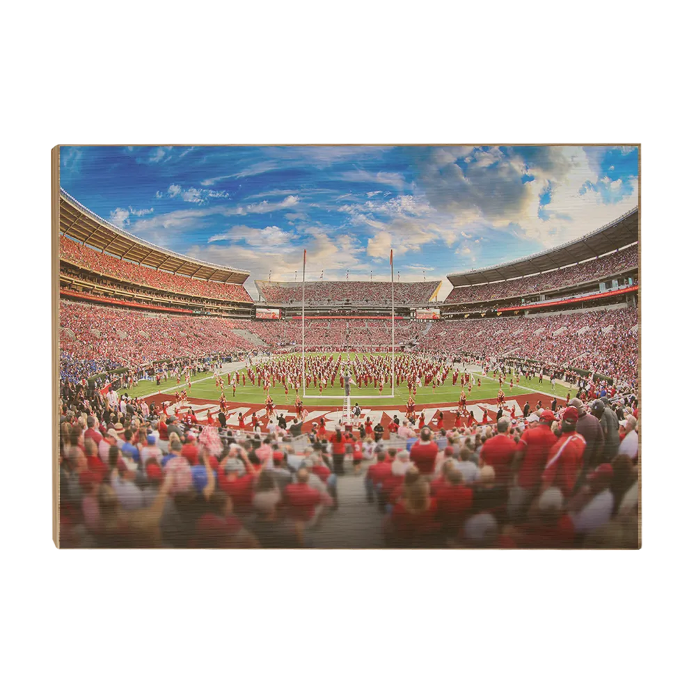 Alabama Crimson Tide - Bryant-Denny MDB Field