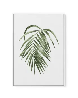 Areca Palm | Framed Canvas Art Print