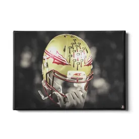 Florida State Seminoles - Seminole Helmet Held High