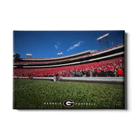 Georgia Bulldogs - Georgia Football